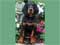 Gordon Setter